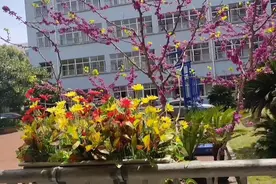 交大实小东校区，校园里的花很美，教师食堂自助餐很丰盛。视频封面