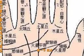 手掌主要线纹的解说视频封面