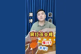 会爆汁的#茂谷柑 你见过么？真的有那么夸张吗？#测评 #开箱 #试吃 #避坑视频封面
