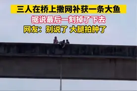 三人在桥上撒网捕获一条大鱼 据说最后一刻掉下去了视频封面