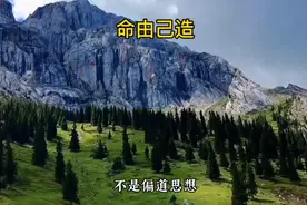 一切有定数，表示这个数会按照我们的自由意志而改变。视频封面