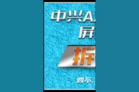 #拆解#手机#科技改变生活#中兴axon30【蒋·拆解】有一点进步，也有亿点对付-中兴Axon 30拆解第一段
视频封面