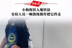 6月16日，广东深圳。小狗狗误入地铁站，安检人员一顿熟练操作把狗狗拎起就走。网友：可怜又可爱！视频封面