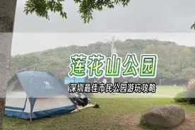 深圳最著名市民公园#莲花山公园 居然这么多隐藏玩法？攻略来了