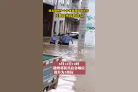 8月12日，湖北随州防汛应急响应提升为3级，多个乡镇造洪涝，民警蹚水疏散群众#随州暴雨 视频封面