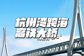 世界第一长的跨海铁路大桥，通苏嘉甬杭州湾跨海高铁大桥，建成后宁波到苏州上海一小时生活圈，也是我国八纵八横，沿海高铁重要线路，为我国交通经济快速发展点赞#地标建筑 #最闪亮的坐标 #基建狂魔视频封面