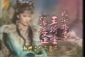 带上耳机听童年，86版《金剑雕翎》视频封面