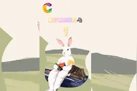 斑马的故事，你喜欢吗？视频封面