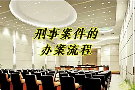 刑事案件办案流程 #法律咨询 #刑事辩护 #律师免费24小时在线咨询视频封面