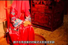 嫂子与我哥视频封面