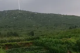 天无乌云难下雨视频封面