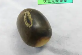 熊去氧胆酸溶石：两个必要条件，一个注意！#兔年开工健康指南 #胆结石 #药物溶石 #健康科普在抖音 #大数据推荐给有需要的人视频封面