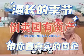 从【漫长的季节】看真实的国企：倒卖国有资产咋回事？#国企