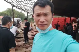 刚果金的酋长为他的村民来找咱们中国的老板找工作视频封面