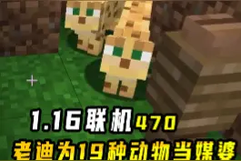我的世界1.16联机470：老迪撮合了19种动物，搞定成双成对目标 #我的世界视频封面