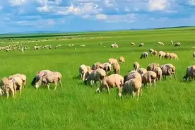 六七月份最凉快的七个地方。避暑游，暑假旅游，避暑胜地。#旅行推荐官 #旅行大玩家 #旅游攻略 #清凉避暑好去处 #避暑胜地视频封面