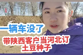 内蒙人带陕西客户订60吨土豆种子，一辆车没了，种子真贵啊视频封面