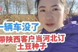 内蒙人带陕西客户订60吨土豆种子，一辆车没了，种子真贵啊视频封面