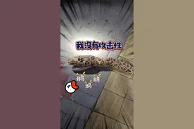 消防员徒手抓“蛇”视频封面