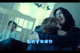 斯内普爱了莉莉一生视频封面