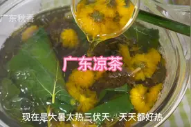 这些天天气太热啦，今天给大家分享几款广东凉茶，非常解暑视频封面