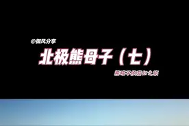 一个暖心的故事，妈妈带着两只北极熊幼崽开始了首次迁徙旅程。它们将会遭遇各种自然灾害和对妈妈图谋不轨的北极熊叔叔视频封面