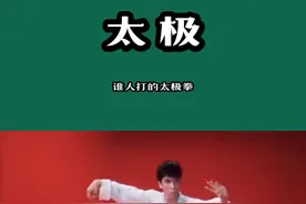 谁人打的太极拳？#功夫 #武术 #太极 