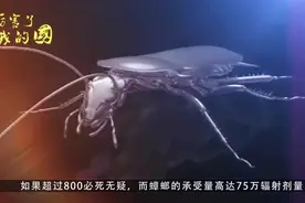 中国最恐怖工厂！养了60亿只蟑螂，老外知道原因后直呼太聪明视频封面