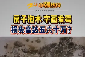 #空置房一年水费900元 竟是漏水，家具字画都被泡，物业应该有所警觉吗？视频封面