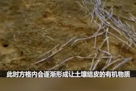那么低矮的#草方格，为什么可以#防风固沙？#环境 #沙漠 视频封面