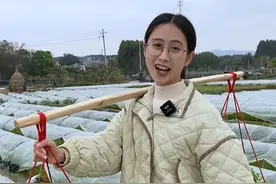 下雨天挑了两担子ong菜去摆摊，施了点小技巧全卖光#我的乡村生活 #新农人计划2023 #我的乡村生活视频封面