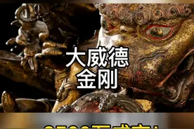  #大威德金刚 9500万成交！ #拍卖  #德国纳高  #雅鉴  #雅鉴app 视频封面