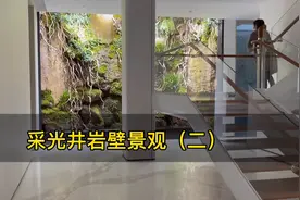 地下室采光井室内造景#庭院#花园设计#景观视频封面