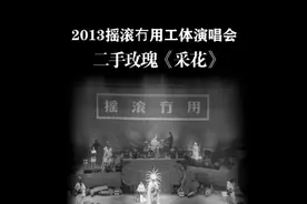 国内出场费最高的红白喜事乐队二手玫瑰《采花》，2013“摇滚冇用视频封面