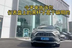 今天来告诉你仪表盘上的黑杆子是干嘛用的#一汽丰田 #荣放rav4视频封面