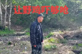 在野外遇见这种情况一定不能把蛋捡回家#真实户外 #大山里的原生态 #野鸡蛋 @抖音创作者大会视频封面