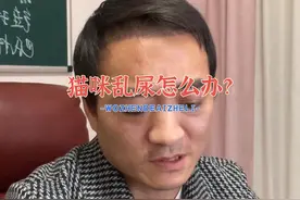 猫咪在床上尿怎么办？#猫咪 #宠物知识 #兽医视频封面