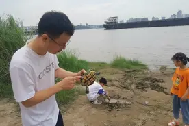 归元寺偶得一只乌龟，拿到长江边放生，走了又回来…视频封面