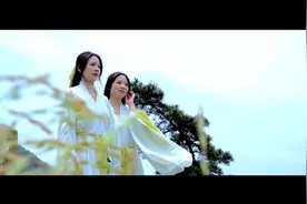 中国艾都，李时珍的故乡，大美蕲春，欢迎您！一片艾叶，温暖世界视频封面