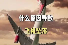 飞机为什么会掉下来？追回后人的生存几率有多大？视频封面