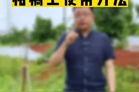 代森锰锌柑橘上使用方法#新农人计划2023 #来抖音学农枝 #代森锰锌视频封面