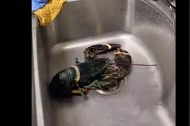 洗刷 刷刷刷刷刷视频封面