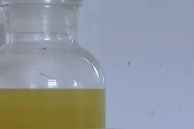 大庆底下再找一个大庆！我国发现预测地质储量12.68亿吨页岩油视频封面