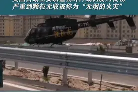 警惕！清河被列入“白蛾疫区”！去年直升机飞防作业在峨二庄举行，飞行了五个架次！ #清河飞防  #清河新闻视频封面