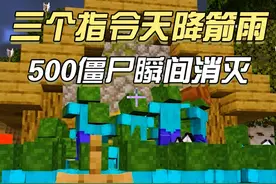 #我的世界 #我的世界指令 一只小鸡就能召唤箭雨？村村你在干嘛...