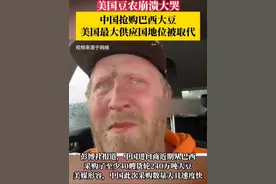 中国抢购巴西大豆，美国最大供应国地位被取代。美国豆农崩溃大哭视频封面