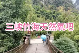 三峡竹海小桥流水，竹浪如海山峦叠嶂，飞瀑高悬植被茂密。视频封面