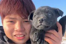 新疆雪地发现一窝流浪狗，要不要在这里喂它们陪它们过年！零下十几度那么冷的天气#捡到狗 #流浪狗 #户外生活 #穷游 #新疆视频封面