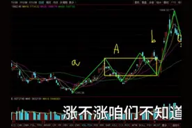 大盘站上3300点，创业板1950点，黄金种植业还有机会吗？视频封面