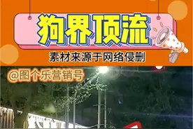 汪汪队过马路#汪汪队 #狗子成精了 #狗子的迷惑行为 素材来源：@佛系小青年～ @Hniy @於菟视频封面